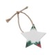Ornament Crăciun în formă de stea cu semințe StarSeed