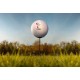 Balon publicitar gonflabil fara compresor pe suport metalic
