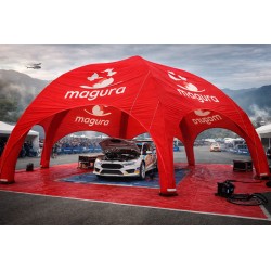 Cort dom Axion Spider 10