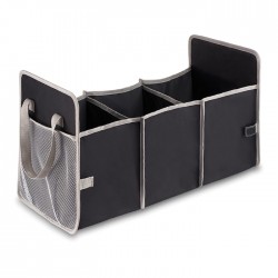 Organizator auto Organizer