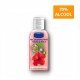 Gel dezinfectant maini si piele, 50ml